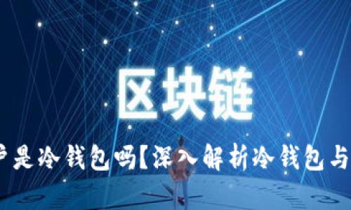 USDT资金账户是冷钱包吗?深入解析冷钱包与热钱包的区别
