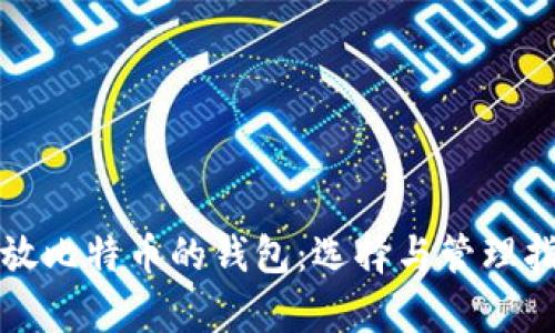 存放比特币的钱包:选择与管理指南