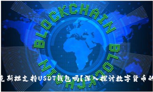 哈萨克斯坦支持USDT钱包吗?深入探讨数字货币的未来