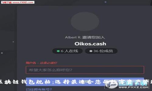 深入探讨区块链钱包规格:选择最适合您的数字资产管理解决方案