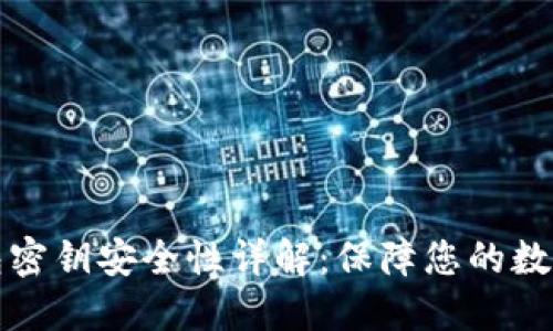 以太坊钱包密钥安全性详解:保障您的数字资产安全