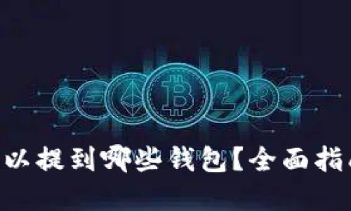 USDT可以提到哪些钱包?全面指南与建议