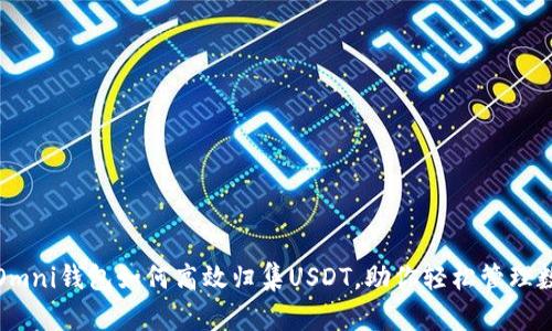 : 详解Omni钱包如何高效归集USDT,助你轻松管理数字资产
