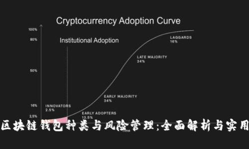 探究区块链钱包种类与风险管理:全面解析与实用指南