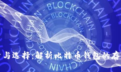 比特币钱包的容量与选择:解析比特币钱包的存储特点与使用技巧