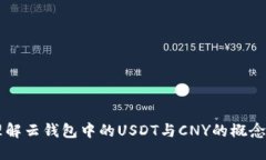 深入理解云钱包中的USDT与CNY的概念与应用