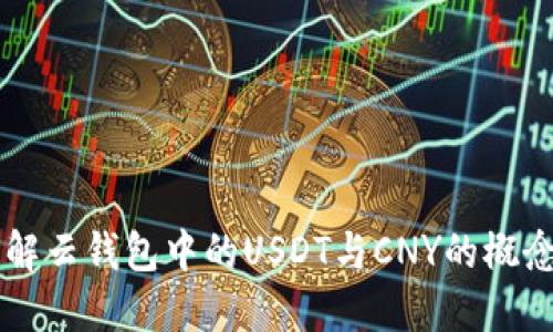 深入理解云钱包中的USDT与CNY的概念与应用
