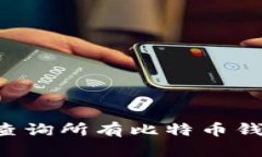 如何高效地查询所有比特币钱包:全面指南