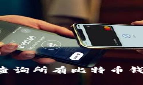 如何高效地查询所有比特币钱包:全面指南
