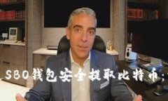 如何通过SBO钱包安全提取比特币:详细指南