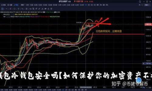 tp钱包冷钱包安全吗?如何保护你的加密资产不被盗