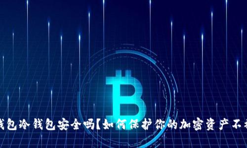 tp钱包冷钱包安全吗?如何保护你的加密资产不被盗