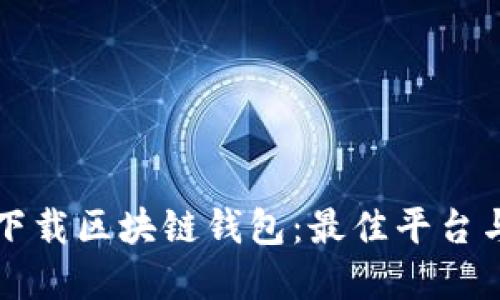 如何安全下载区块链钱包:最佳平台与实用指南