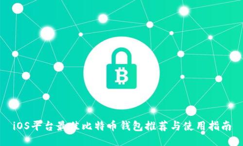 iOS平台最佳比特币钱包推荐与使用指南