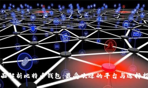 全面解析比特币钱包:最受欢迎的平台与选择指南