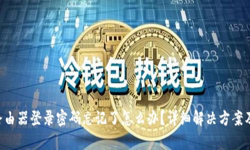 TP-Link路由器登录密码忘记了怎么办?详细解决方案及步骤解析
