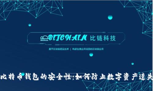 比特币钱包的安全性:如何防止数字资产遗失