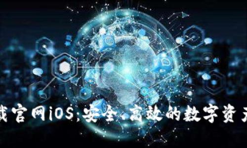 TP钱包下载官网iOS:安全、高效的数字资产管理工具