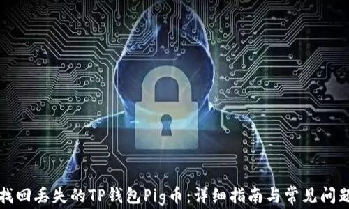 如何找回丢失的TP钱包Pig币:详细指南与常见问题解答