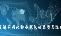 全面了解不同比特币钱包的类型与选择指南