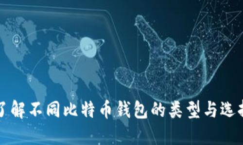 全面了解不同比特币钱包的类型与选择指南
