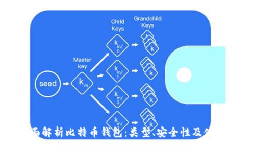: 全面解析比特币钱包:类型、安全性及使用指南