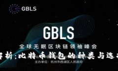 全面解析：比特币钱包的种类与选择指南