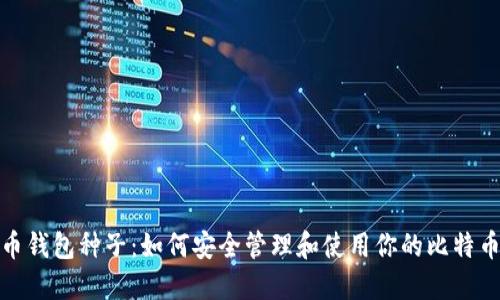 比特币钱包种子:如何安全管理和使用你的比特币资金