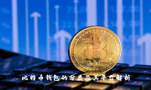 比特币钱包的分类及其平台解析