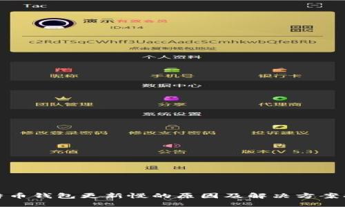比特币钱包更新慢的原因及解决方案揭秘