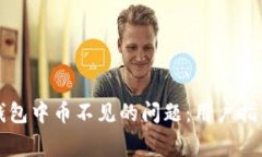 如何解决TP钱包中币不见的问题:用户指南与常见