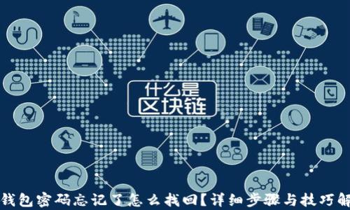 tp钱包密码忘记了怎么找回?详细步骤与技巧解析