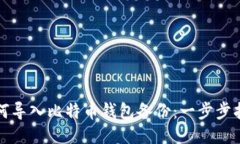 如何导入比特币钱包备份:一步步指南