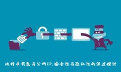 比特币钱包与公网IP:安全性与隐私性的深度探讨