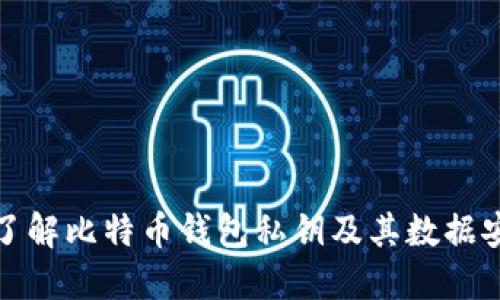 深入了解比特币钱包私钥及其数据安全性