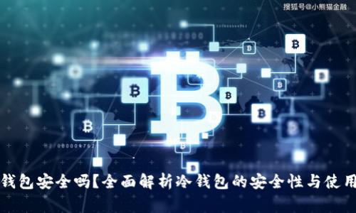 TP钱包冷钱包安全吗?全面解析冷钱包的安全性与使用注意事项