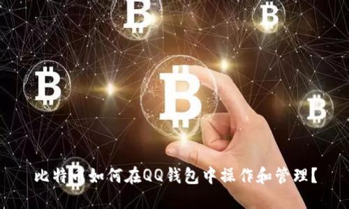 比特币如何在QQ钱包中操作和管理?