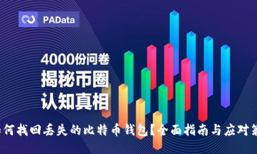 如何找回丢失的比特币钱包?全面指南与应对策略