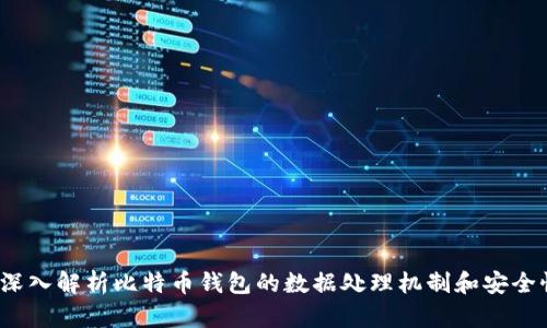 深入解析比特币钱包的数据处理机制和安全性