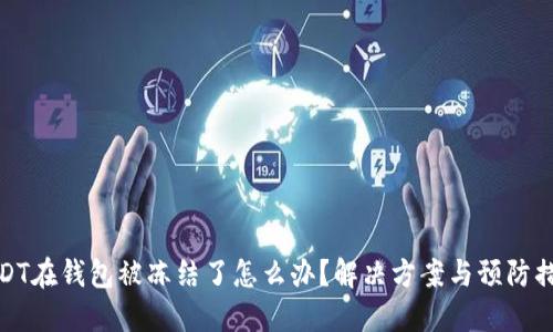 USDT在钱包被冻结了怎么办?解决方案与预防措施