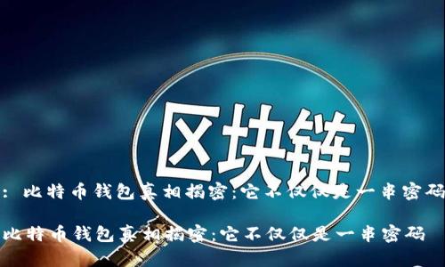 : 比特币钱包真相揭密:它不仅仅是一串密码
比特币钱包真相揭密:它不仅仅是一串密码