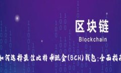如何选择最佳比特币现金(BCH)钱包:全面指南