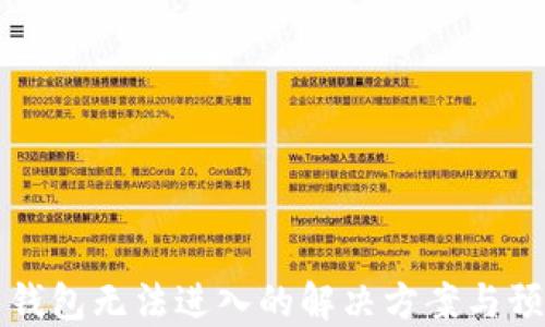比特币钱包无法进入的解决方案与预防指南