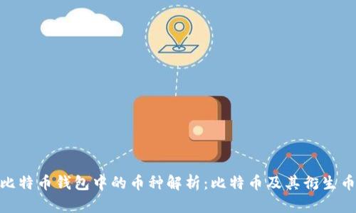 baioti比特币钱包中的币种解析：比特币及其衍生币种一览