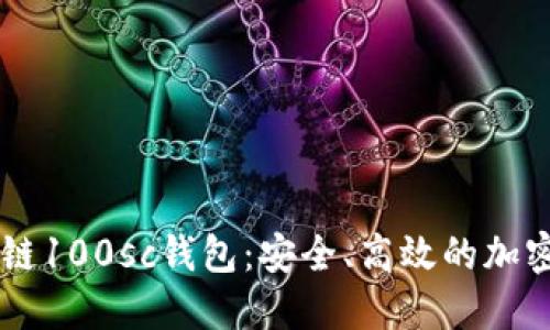 深入了解区块链100sc钱包：安全、高效的加密货币管理平台
