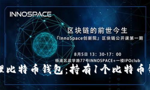 如何拥有及管理比特币钱包：持有1个比特币钱包的实用指南