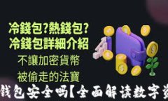 个人的USDT钱包安全吗？全面解读数字资产安全策