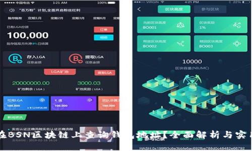 如何在BSN区块链上查询钱包地址?全面解析与实用指南