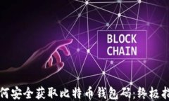 如何安全获取比特币钱包码:终极指南