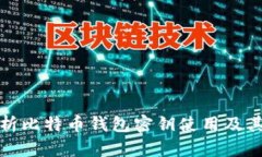 深入解析比特币钱包密钥使用及其安全性
